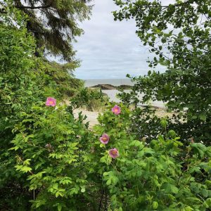 Roberts Creek Picnic Area